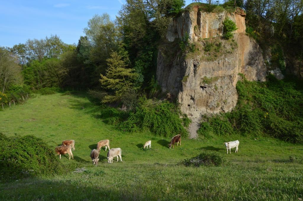 Fattoria Lucciano Villa Borghetto  Exterior photo